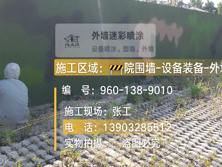 丽水外墙迷彩漆材料价约 45-60 元 /k