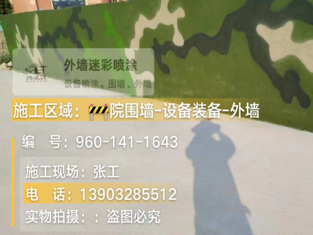 丽水 迷彩漆喷涂价格（按平方米计费）