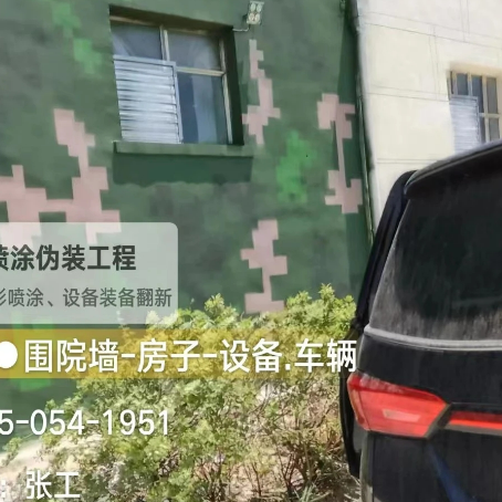 丽水数码迷彩漆施工